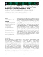 Báo cáo khoa học: Tumor suppressor p16INK4a: Downregulation of galectin-3, an endogenous competitor of the pro-anoikis effector galectin-1, in a pancreatic carcinoma model pptx