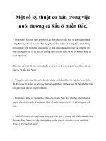 Một số kỹ thuật cơ bản trong việc nuôi dưỡng cá Sấu ở miền Bắc. doc