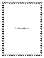 Trị bệnh bằng hạt cây ppt