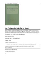 Daughters of the Puritans A Group of Brief Biographies ppt