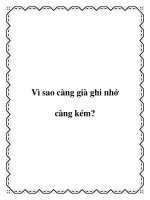 Vì sao càng già ghi nhớ càng kém? pot