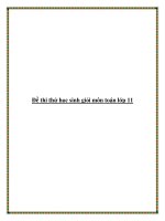 Đề thi thử học sinh giỏi môn toán lớp 11-Đề số 20 potx