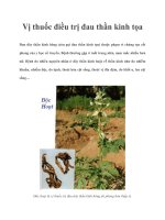 Vị thuốc điều trị đau thần kinh tọa pdf