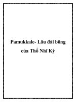 Pamukkale- Lâu đài bông của Thổ Nhĩ Kỳ docx