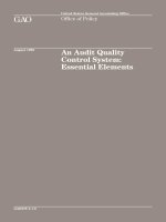 An Audit Quality Control System: Essential Elements pdf