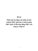 Đề tài Phân tích tác động của nhân tố môi trường MKT quốc gia và môi trường MKT quốc tế đến hoạt động MKT của công ty Unilever pot