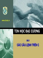 Tin học đại cương - bài 8: các câu lệnh trên C pot