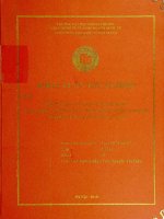 thực trạng và giải pháp mở rộng hoạt động tài trợ xuất nhập khẩu tại chi nhánh eximbank hai bà trưng hà nội