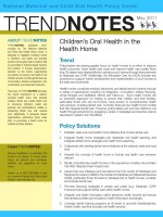 National Maternal and Child Oral Health Policy Center pptx