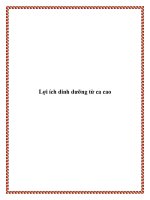 Lợi ích dinh dưỡng từ ca cao potx