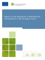 Report on the Regulation of Reproductive Cell Donation in the European Union potx