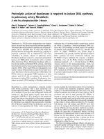 Báo cáo Y học: Proteolytic action of duodenase is required to induce DNA synthesis in pulmonary artery ﬁbroblasts A role for phosphoinositide 3-kinase pot