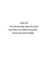 Luận văn Kế toán bán hàng, phân bổ chi phí mua hàng và xác định kết quả kinh doanh trong doanh nghiệp pot