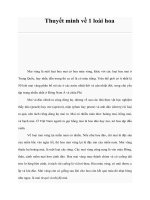 Thuyết minh về 1 loài hoa pot