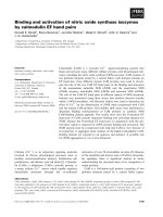 Báo cáo khoa học: Binding and activation of nitric oxide synthase isozymes by calmodulin EF hand pairs potx
