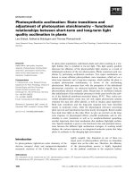 Báo cáo khoa học: Photosynthetic acclimation: State transitions and adjustment of photosystem stoichiometry – functional relationships between short-term and long-term light quality acclimation in plants ppt