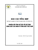Nghiên cứu tính chỉ tiêu tốc độ tăng năng suất các nhân tố tổng hợp ở Việt Nam doc