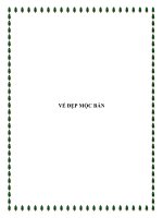 VẺ ĐẸP MỘC BẢN pot