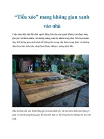 “Tiểu xảo” mang không gian xanh vào nhà docx