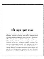 Rối loạn lipid máu pot