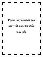 Phong thủy cắm hoa đào ngày Tết mang lại nhiều may mắn pptx