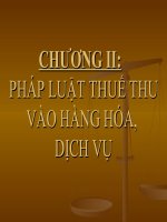 PHÁP LUẬT THUẾ THU VÀOHÀNG HÓADỊCH VỤ potx