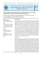 SO SÁNH HIỆU QUẢ KỸ THUẬT GIỮA TƯỚI NHỎ GIỌT VÀ TƯỚI THẤM LÊN DƯA HẤU TẠI HUYỆN DUYÊN HẢI, TỈNH TRÀ VINH pdf