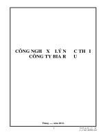 CÔNG NGHỆ XỬ LÝ NƯỚC THẢI CÔNG TY BIA RƯỢU pot