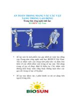 AN TOÀN TRONG MANG VÁC CÁC VẬT NẶNG TRONG LAO ĐỘNG doc