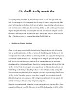 Các vấn đề của đáy ao nuôi tôm pot