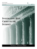 INVESTIGATING HATE CRIMES ON THE INTERNET docx