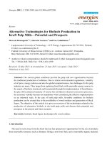 Alternative Technologies for Biofuels Production in Kraft Pulp Mills—Potential and Prospects pdf