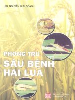 phòng trừ sâu bệnh hại lúa