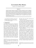 CATASTROPHE RISK BONDS potx