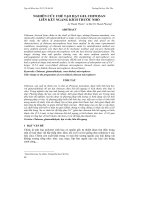 NGHIÊN CỨU CHẾ TẠO HẠT GEL CHITOSAN LIÊN KẾT NGANG KÍCH THƯỚC NHỎ pptx