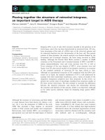 Báo cáo khoa học: Piecing together the structure of retroviral integrase, an important target in AIDS therapy pptx