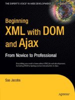  beginning xml with dom and ajax, from novice to professional (2006)