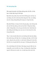 Sắc màu phòng tắm doc