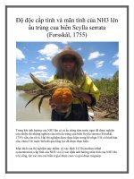 Độ độc cấp tính và mãn tính của NH3 lên ấu trùng cua biển Scylla serrata (Forsskål, 1755) docx