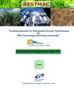 “Creating Markets for Renewable Energy Technologies EU RES Technology Marketing Campaign“ docx