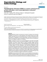 Peptidylarginine deiminase (PAD) is a mouse cortical granule protein that plays a role in preimplantation embryonic development docx