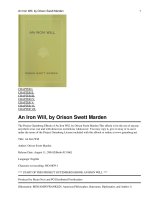 An Iron Will pdf