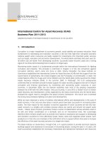 International Centre for Asset Recovery (ICAR) Business Plan 2011-2013 pptx