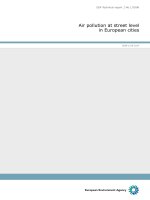 Air pollution at street level in European cities docx