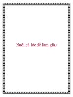 Nuôi cá lóc để làm giàu docx