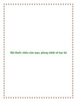 Bài thuốc chữa cảm mạo, phong nhiệt từ bạc hà pot