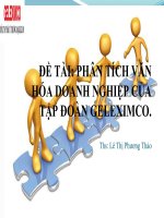 phân tích văn hóa doanh nghiệp của tập đoàn geleximco