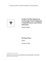 Carbon Tariffs: Impacts on Technology Choice, Regional Competitiveness, and Global Emissions pdf