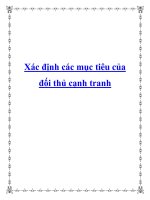 Xác định các mục tiêu của đối thủ cạnh tranh pot