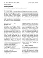 Báo cáo Y học: The sodium pump Its molecular properties and mechanics of ion transport potx